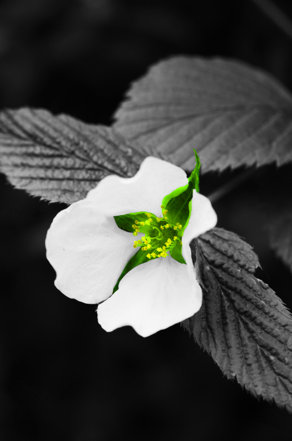 Photography by crea08 for DesignCrowd (Community Contests) | Design #8972798