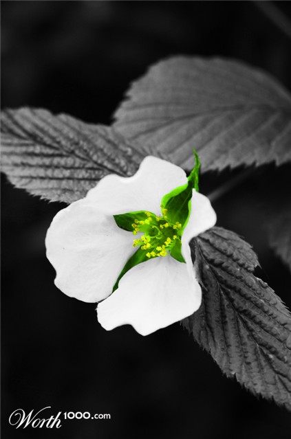 Photography by crea08