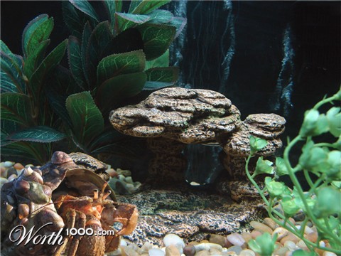 Photoshop Design by WildChildBaby