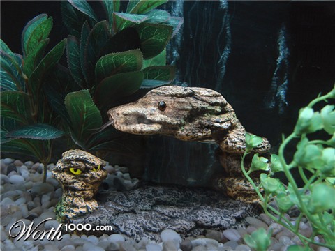 Photoshop Design by ghostdog2804