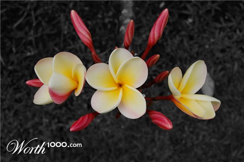 Photography by kmahany