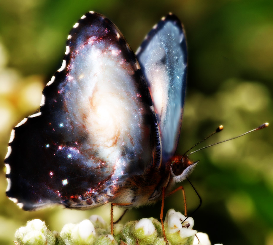 Photoshop Design by bacarrat for DesignCrowd (Community Contests) | Design #8972554