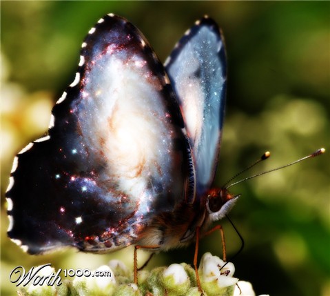 Photoshop Design by bacarrat