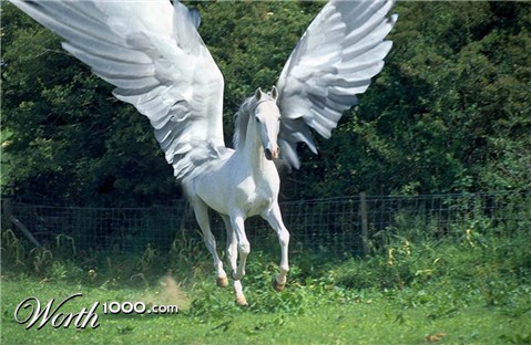 Photoshop Design by raginiroshni