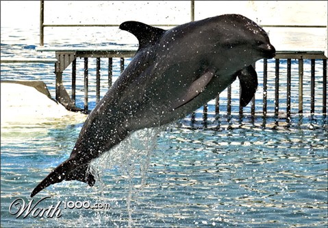 Photography by Rhiannonsmommy