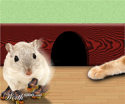 Photoshop Design by lucimine