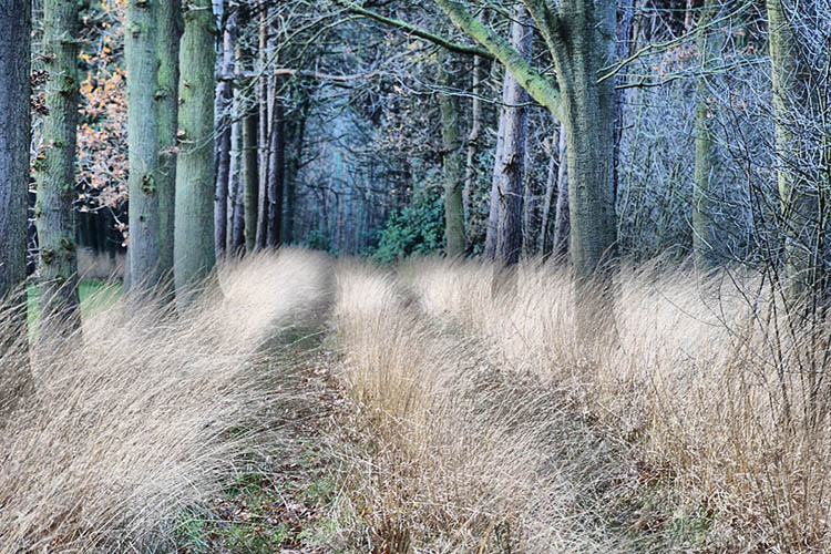 Photographie par colleague pour DesignCrowd (Community Contests) | Design #8974899