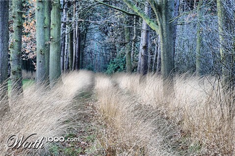 Photography by colleague