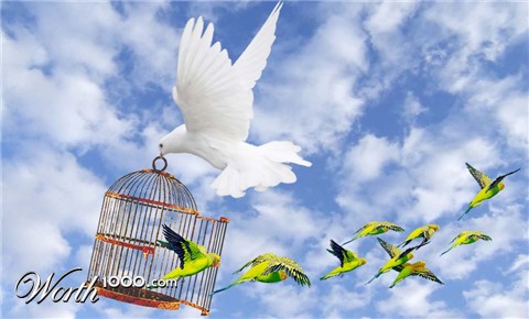 Photoshop Design by photoshopin