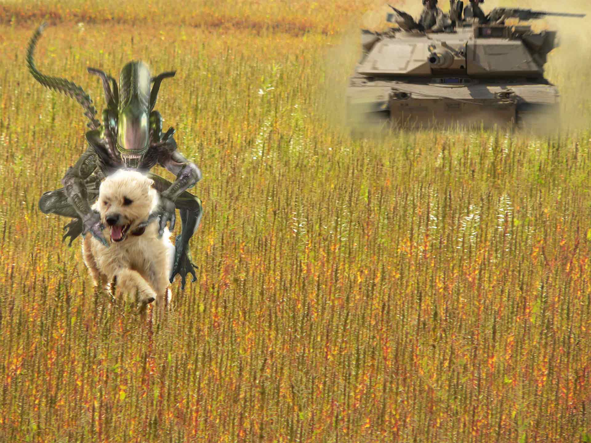 Diseño de Photoshop por Mokey117 para DesignCrowd (Community Contests) | Diseño #8974331