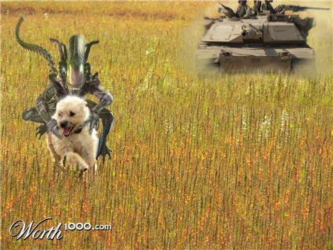 Photoshop Design by Mokey117