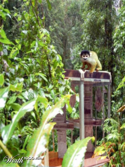 Photoshop Design by Ellooo