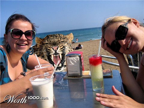 Photoshop Design by Piksich