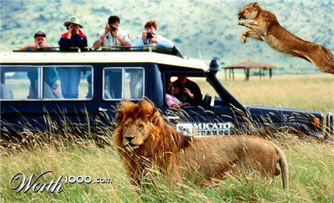 Photoshop Design by lachie1134