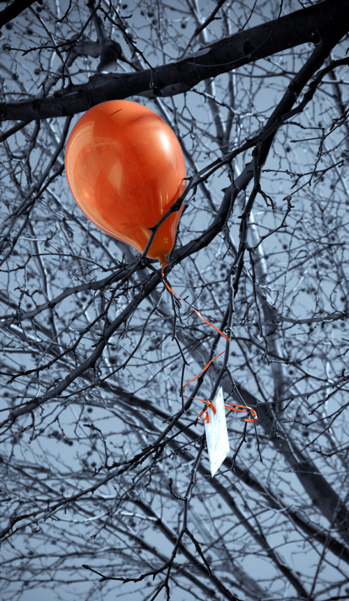 Photographie par Stadsman pour DesignCrowd (Community Contests) | Design #8972820