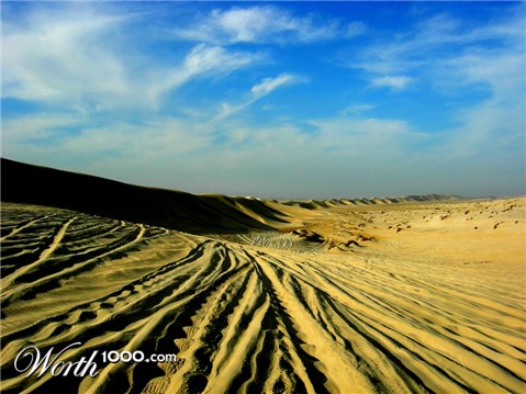 Photography by charizz