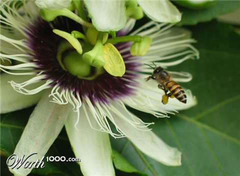 Photography by Chris90