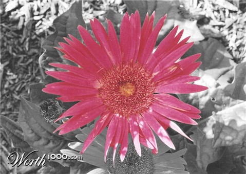 Photography by photog101