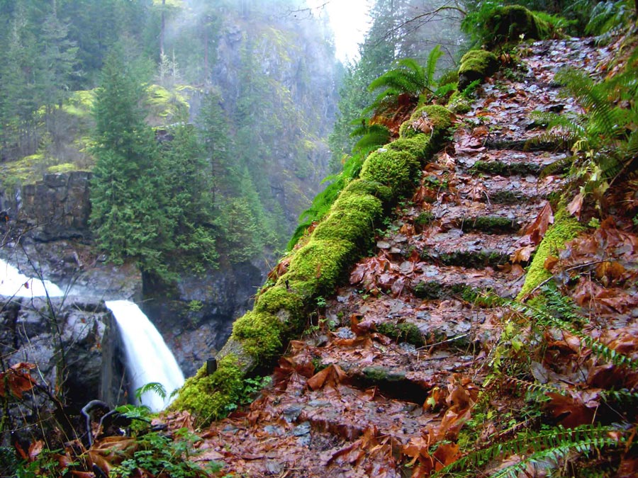 Photography by CharlieFedora for DesignCrowd (Community Contests) | Design #8974961