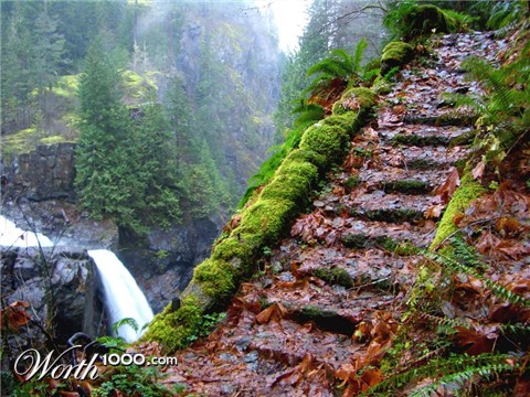 Photography by CharlieFedora