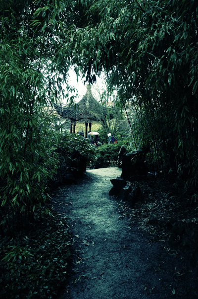 Photography by K4T3R1N4 for DesignCrowd (Community Contests) | Design #8974964