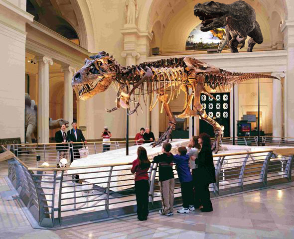 Diseño de Photoshop por alesiphoto para DesignCrowd (Community Contests) | Diseño #8975593