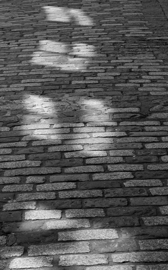 Photography by zozman for DesignCrowd (Community Contests) | Design #8972610