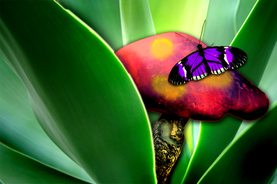 Photoshop Design by atlas607 for DesignCrowd (Community Contests) | Design #8977249