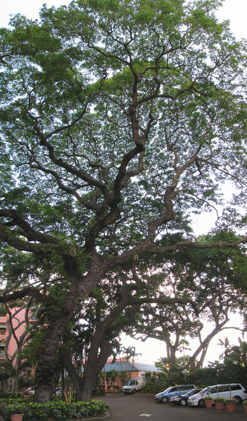 Photography by Mikeleus for DesignCrowd (Community Contests) | Design #8971905