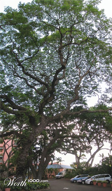 Photography by Mikeleus