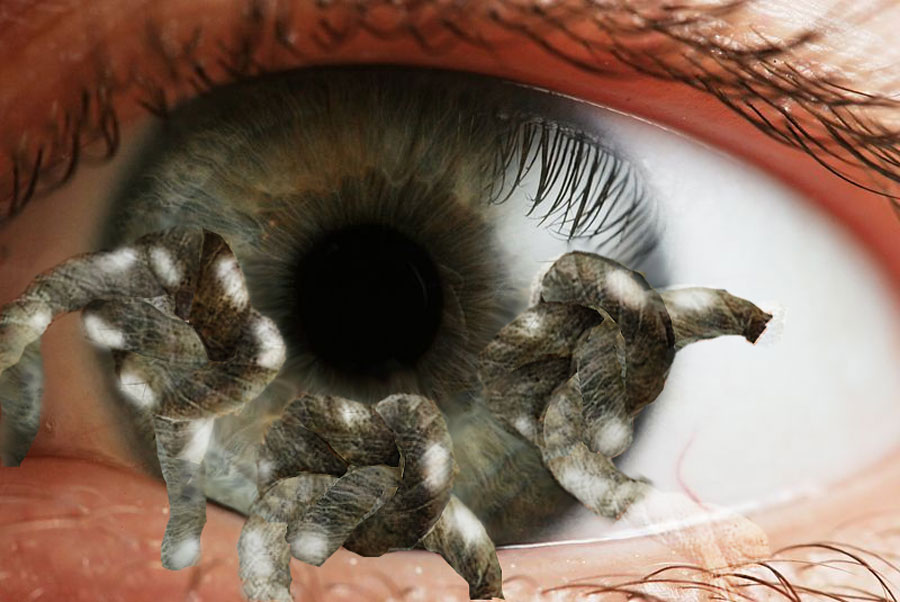 Photoshop Design by WorthyNick for DesignCrowd (Community Contests) | Design #8976064