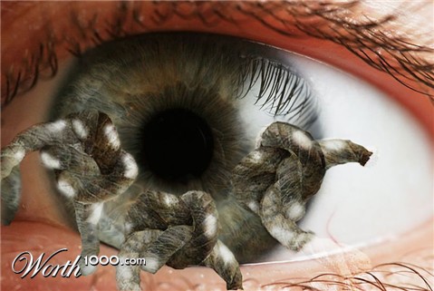 Photoshop Design by WorthyNick