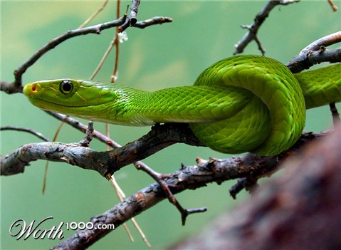 Photoshop Design by jhwdesigns