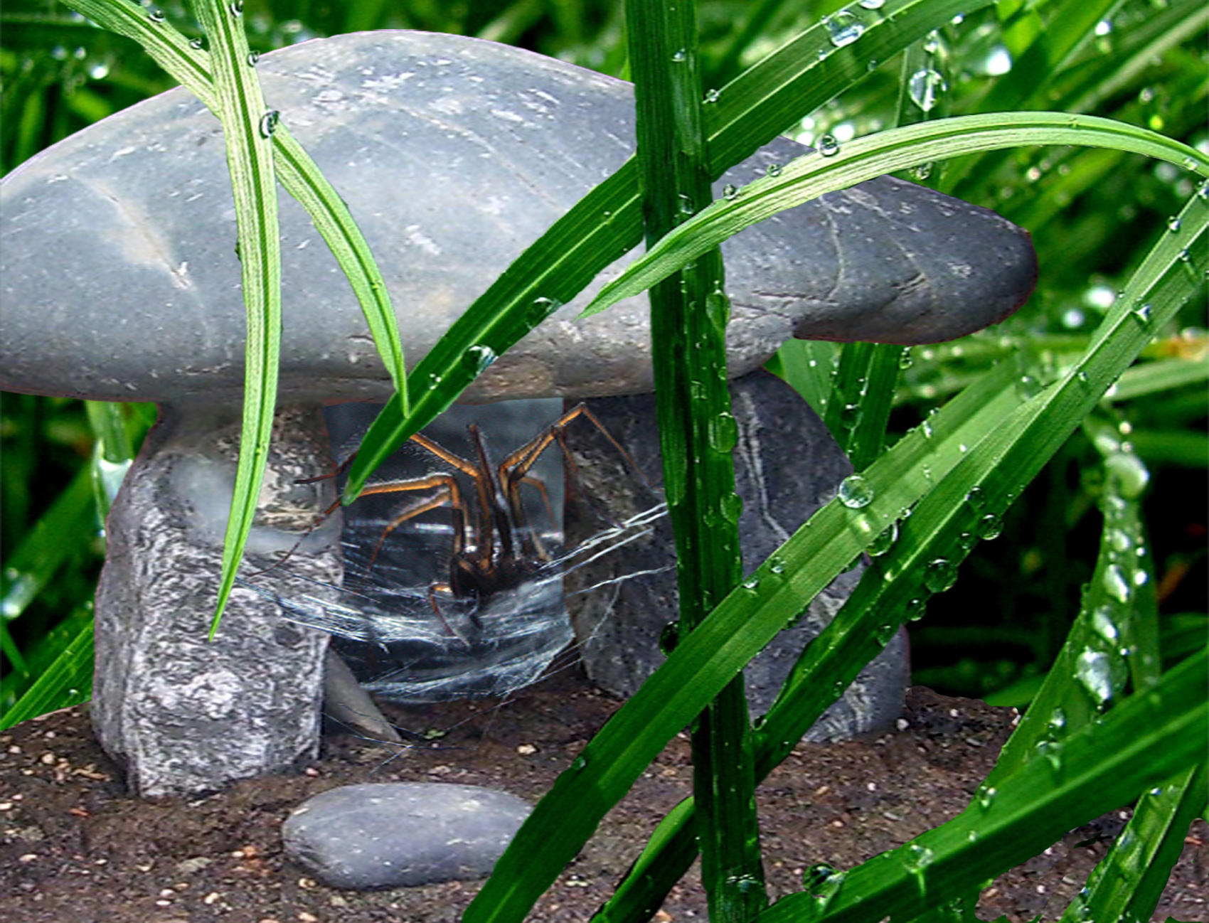 Diseño de Photoshop por jamie1314 para DesignCrowd (Community Contests) | Diseño #8977321