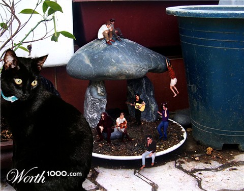 Photoshop Design by b4tankgirl