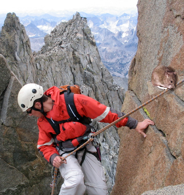 Design Photoshop par Stadsman pour DesignCrowd (Community Contests) | Design #8975519