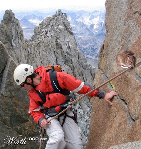 Photoshop Design by Stadsman