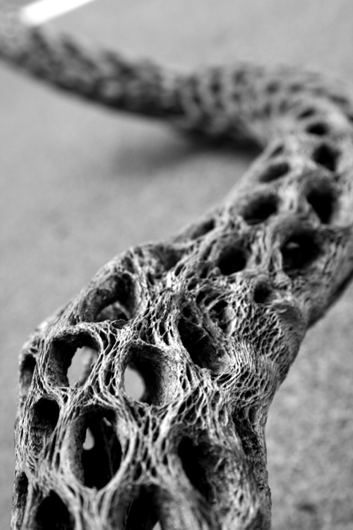 Photography by kevinness17 for DesignCrowd (Community Contests) | Design #8972622