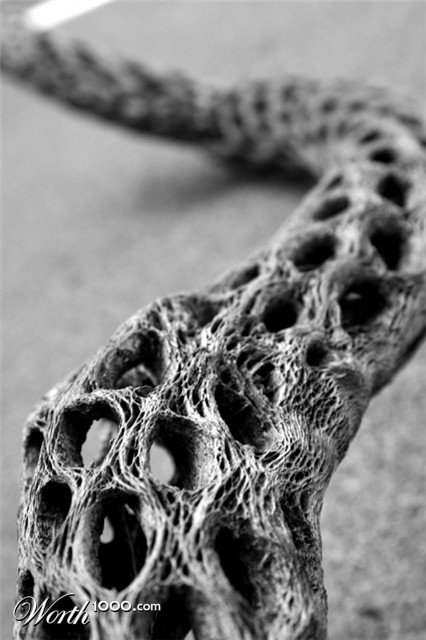 Photography by kevinness17