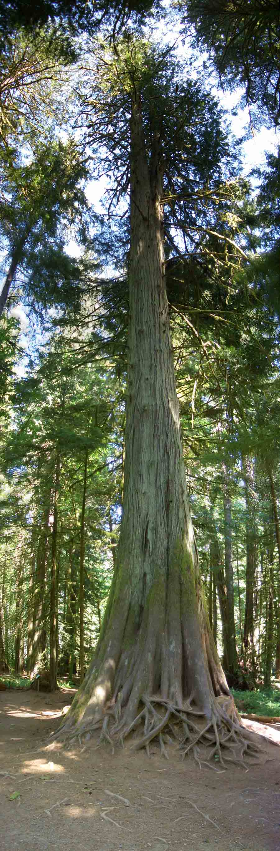 Photography by CharlieFedora for DesignCrowd (Community Contests) | Design #8971911