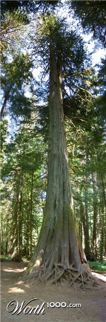 Photography by CharlieFedora