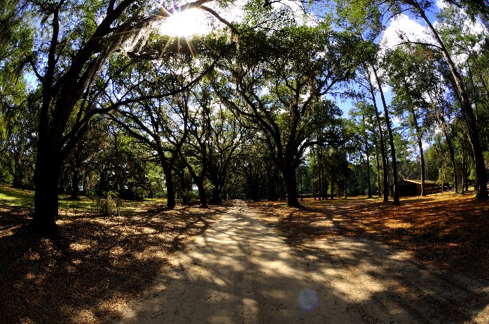 Photography by dragonwolf125 for DesignCrowd (Community Contests) | Design #8974941