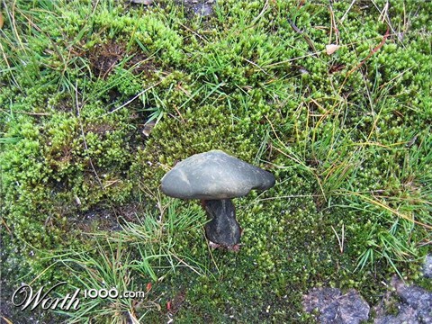 Photoshop Design by gertoja