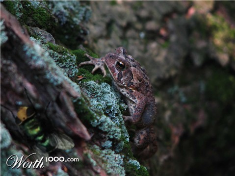 Photoshop Design by jimmytwoshoes