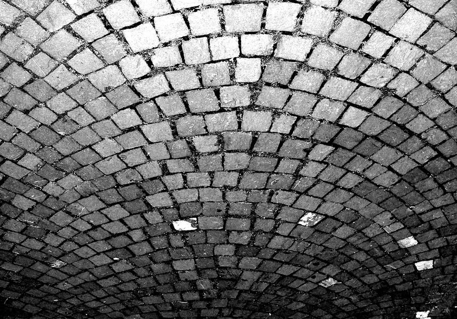 Photography by ljvgtj for DesignCrowd (Community Contests) | Design #8972613