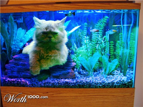 Photoshop Design by pts101