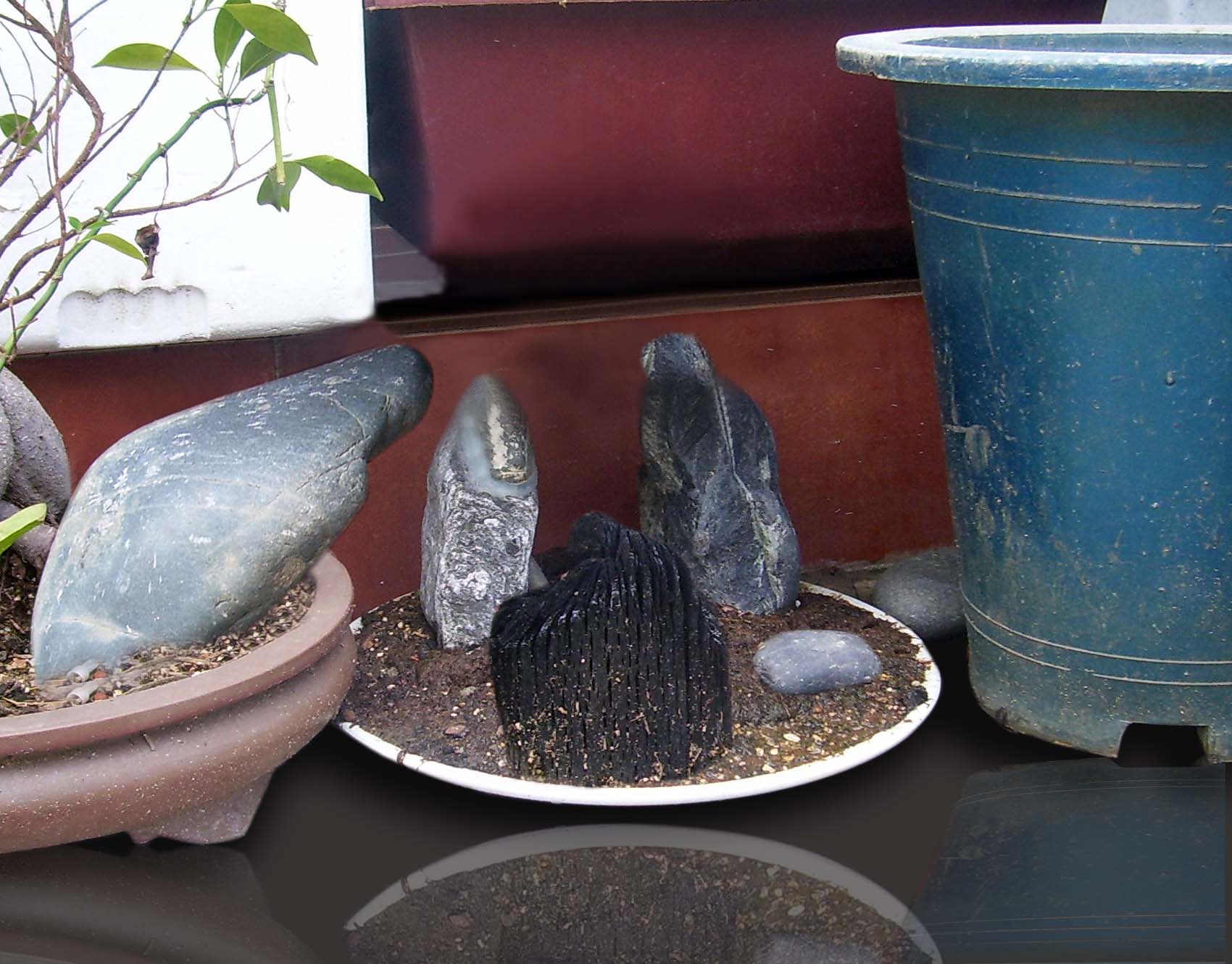 Photoshop Design by anoopramachandran for DesignCrowd (Community Contests) | Design #8977450