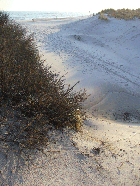 Fotografie von ziarista für DesignCrowd (Community Contests) | Design #8974970