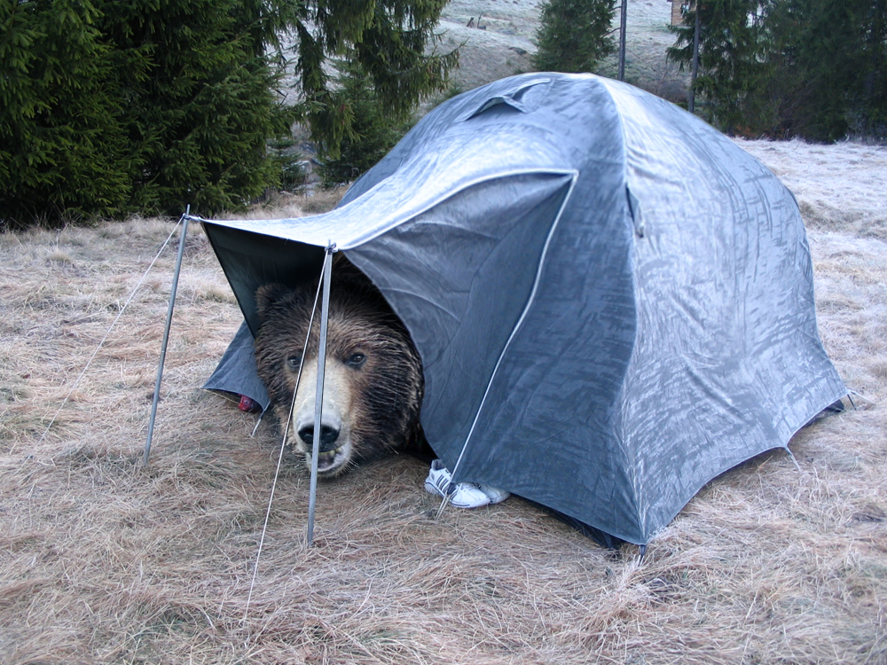 Diseño de Photoshop por Kovievi para DesignCrowd (Community Contests) | Diseño #8971046