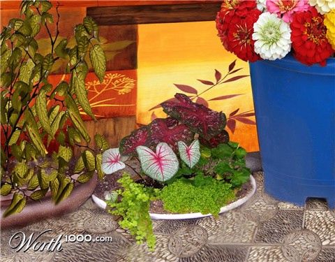 Photoshop Design by Creativeimagination